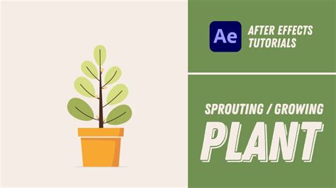 Sprouting Growing Plant Animation After Effects Tutorial Youtube