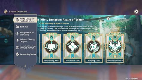 Determination Trial Misty Dungeon Realm Of Water Event