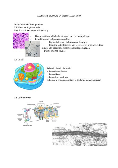 Synthese Algemene Biologie En Weefseleer WPO ALGEMENE BIOLOGIE EN