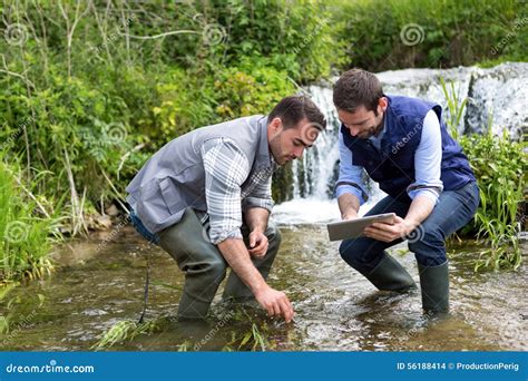 Scienziato E Biologo Che Lavorano Insieme Sull Analisi Dell Acqua