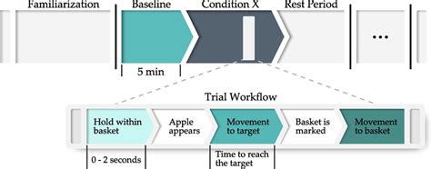 Diagram summarizing the study protocol | Download Scientific Diagram 
