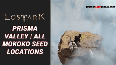 Lost Ark Prisma Valley All Mokoko Seed Locations