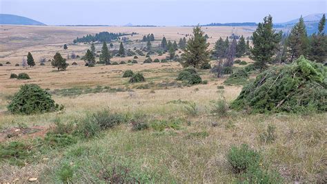 Habitat Enhancement Project Benefits Montana Wildlife | Rocky Mountain ...