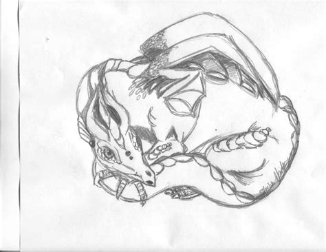 Curled up Dragon by cypris-quynh on DeviantArt