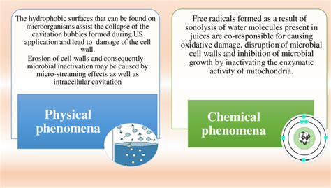 Mechanisms responsible for the effect of microbial inactivation of ... 