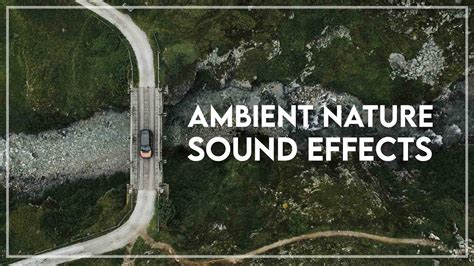 20 Free Nature Sound Effects Ambient Nature Sounds Premier Pro