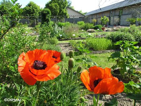 Conservatoire National Des Plantes Office De Tourisme De Milly La