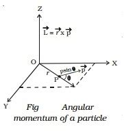 Angular Momentum Of A Rigid Body