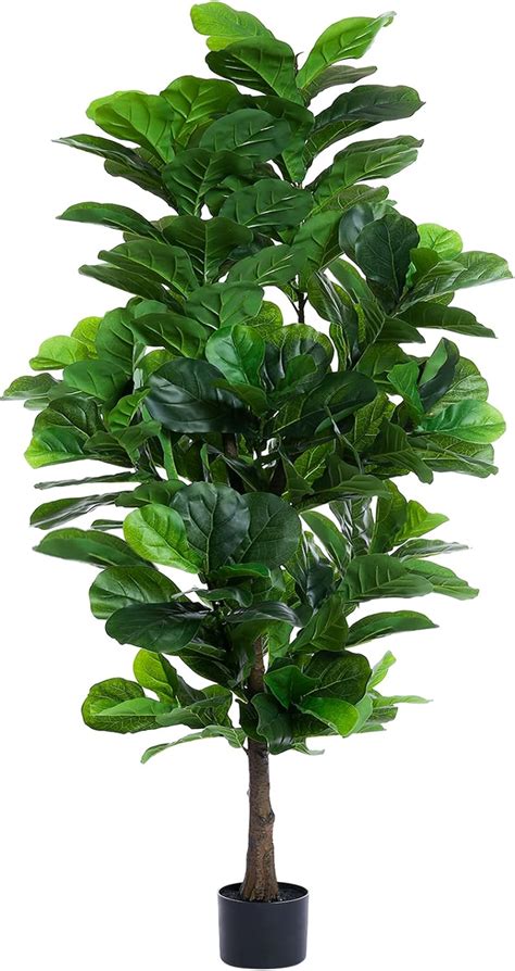 Floworld Fiddle Leaf Fig Tree 6ft Tall Artificial Tree In