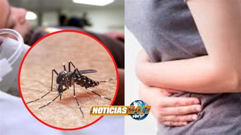 En aumento casos de Dengue y Diarrea confirma Jefa de la Región