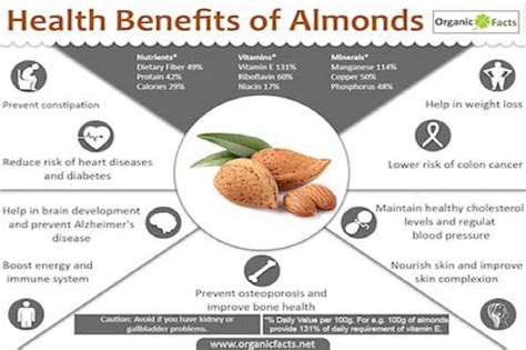 Learn About The Nutritional Benefits Of Almonds