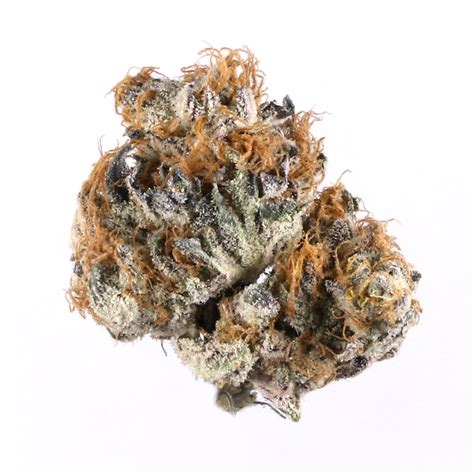 Disco Glitter Marihuana Strain Information Spliffmeister