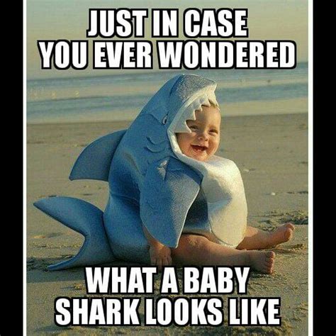 Baby shark... cute tho - 9GAG