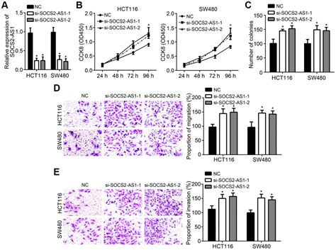 Lncrna Socs2 As1 Inhibits Progression And Metastasis Of Colorectal