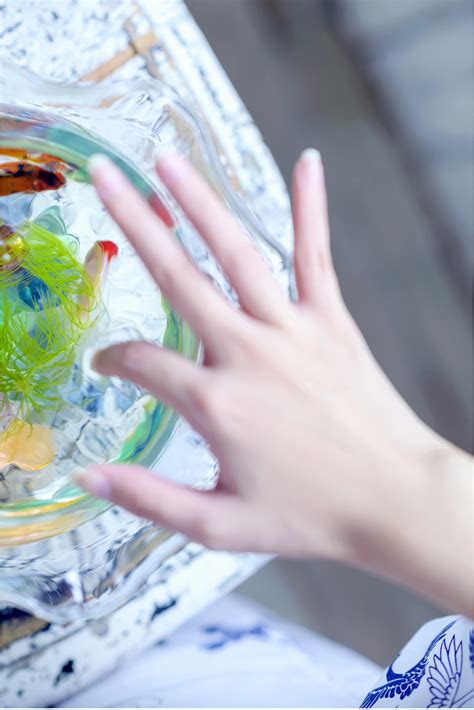 涼森れむ河合あすな野々浦暖 THE 和 THE JAPANESE STYLE NUDE PHOTO BOOK ヌードBEST