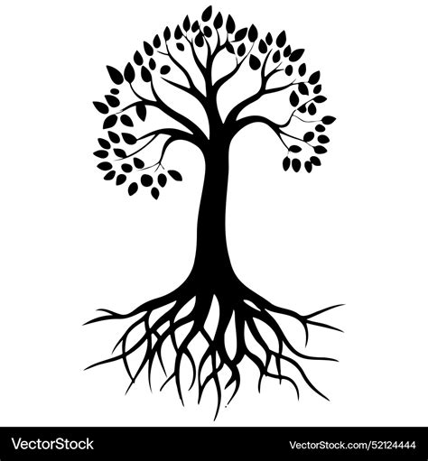 drawing roots hand drawn  transparent vector image