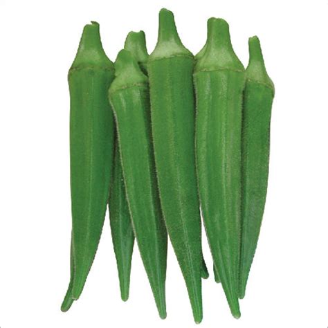 Anandita F1 Hybrid Okra Seeds At Best Price In Delhi Unique Hybrid