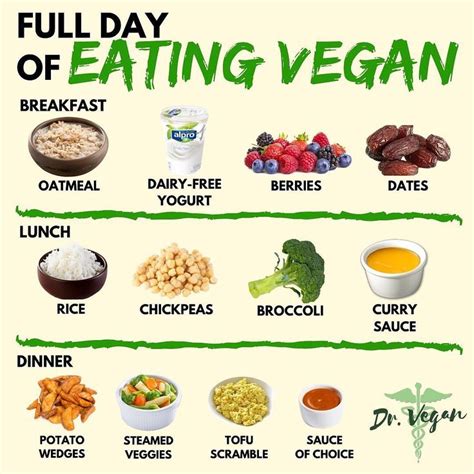 Dr Vegan On Instagram FULL DAY OF EATING VEGAN NOTE These Meals Are