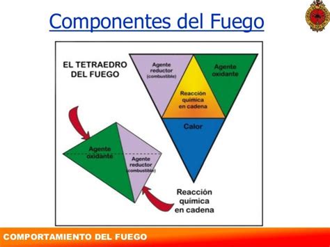 Comportamiento Fuego