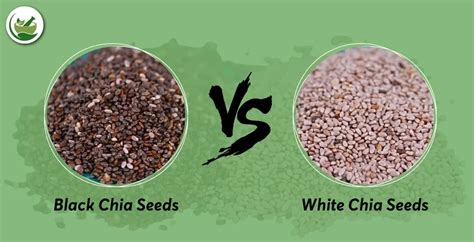 Health Benefits Of Black Vs White Chia Seeds