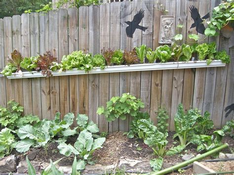 How To Use Gutters To Dress Up Your Fence Vertical Garden Planters