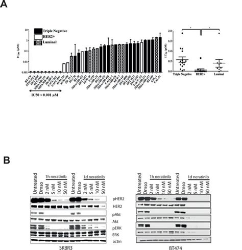 Neratinib Overcomes Trastuzumab Resistance In Her2 Amplified Breast