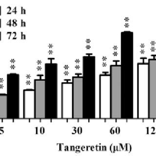 The P Dependent Pathway In Tangeretin Induced Apoptosis In Ags Cells