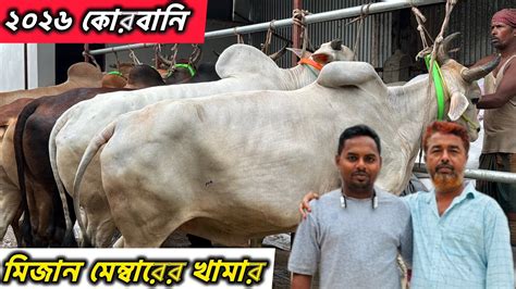 bzbsazee theke khamaree ki vabe hlen mijan membar bistarit janun