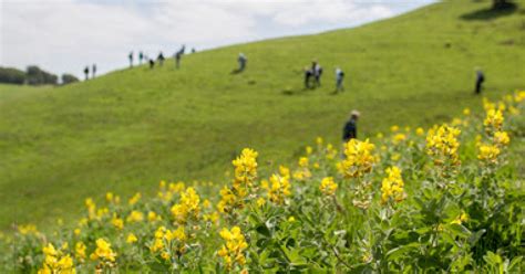 Malt Hosts Free Spring Wildflower Walks At Leiss Ranch April