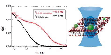 Fluorescence Correlation Spectroscopy Fcs Picoquant