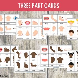 Body Parts Flashcards Preschool Flash Cards Part Cards Human Body