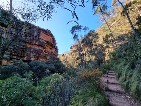 Grand Canyon Walking Track Blue Mountains - Destination's Journey
