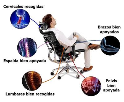 Qué es una silla ergonómica Ejemplos y Explicación