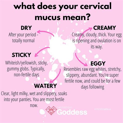 What Does Your Cervical Mucus Mean? | Actividades de cuidado personal ...