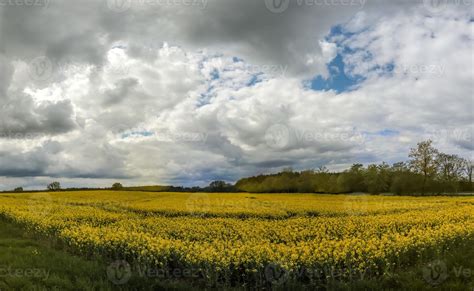 Beau Panorama Haute R Solution D Un Paysage De Pays D Europe Du Nord