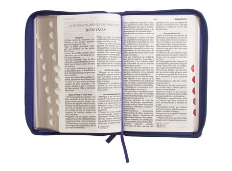 Biblia Reina Valera Tama O Manual Letra Grande Puntos I Piel