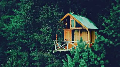 Treehouses In Jibhi That Youll Want To Stay In Forever Insta Himachal