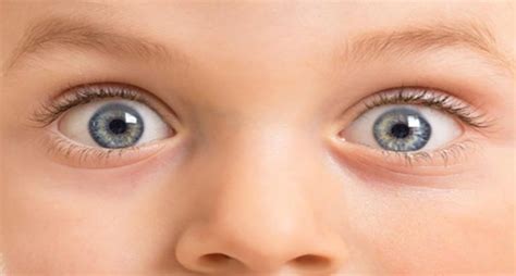 9 Fun Eye Facts In Observance Of World Sight Day White Eye Care