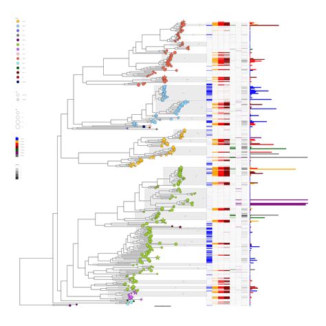 Chapter 10 GgtreeExtra For Presenting Data On A Circular Layout Data