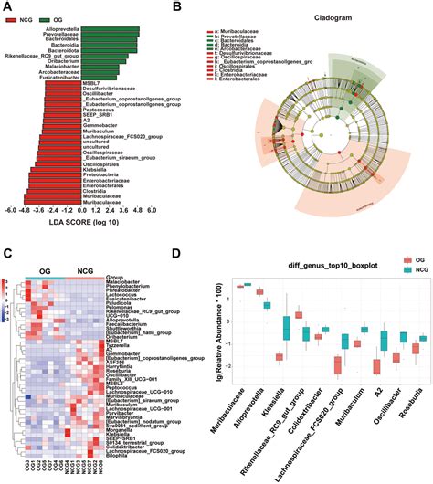 Characterization Of The Gut Microbiota And Fecal Metabolome In The Osteosarcoma Mouse Model