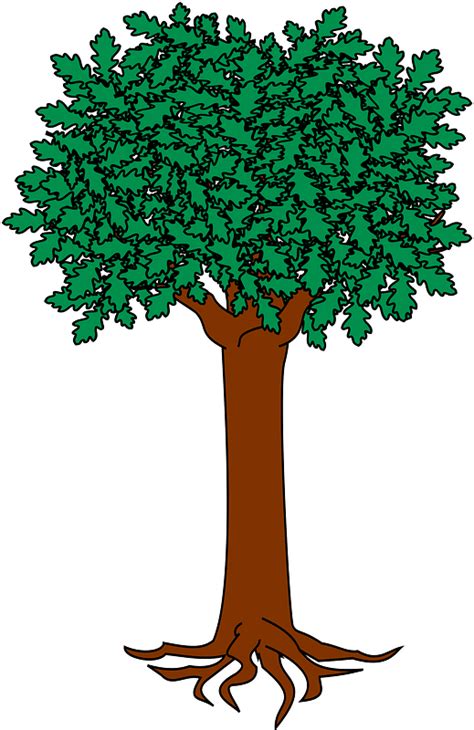 Baum Kostenlose Vektor Clipart Bilder Auf Creazilla