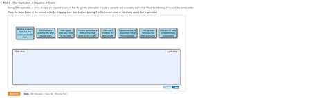 Solved Part C DNA Replication A Sequence Of Events During Chegg