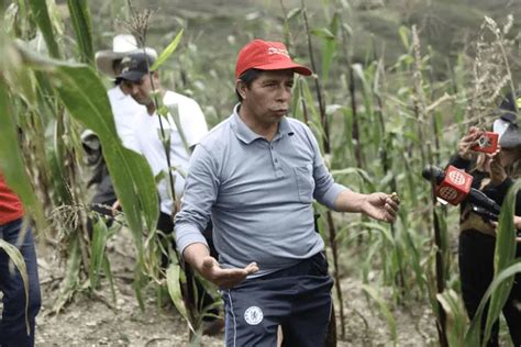 Keiko Fujimori y Pedro Castillo cuáles son los puntos a favor de los