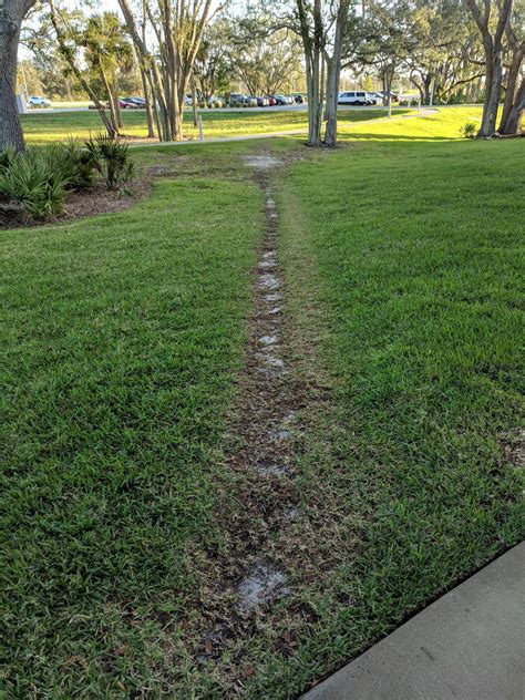 Evolution of a shortcut path at my office. : mildlyinteresting