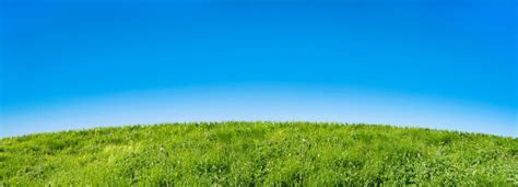 Premium Photo Green Grass Field On A Blue Sky Background