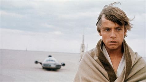 Of Course Luke Skywalker Is Gay Confirms Mark Hamill Echoing Thousands Of Fan Fiction