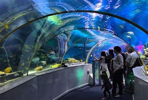 Sea Life Aquarium - AG Surveying