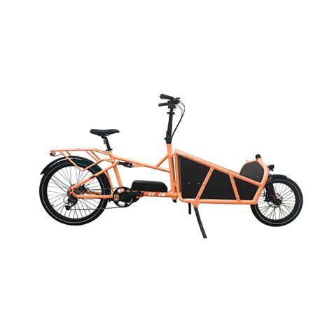 2024 Nouveaux Vélos Cargo Électriques 2 Roues Vélo Cargo Électrique