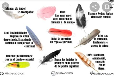 O Que Significa Plumas - El significado y la magia de los colores de las plumas – Artofit