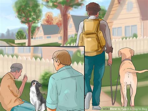 How To Teach A Dog To Beg With Pictures